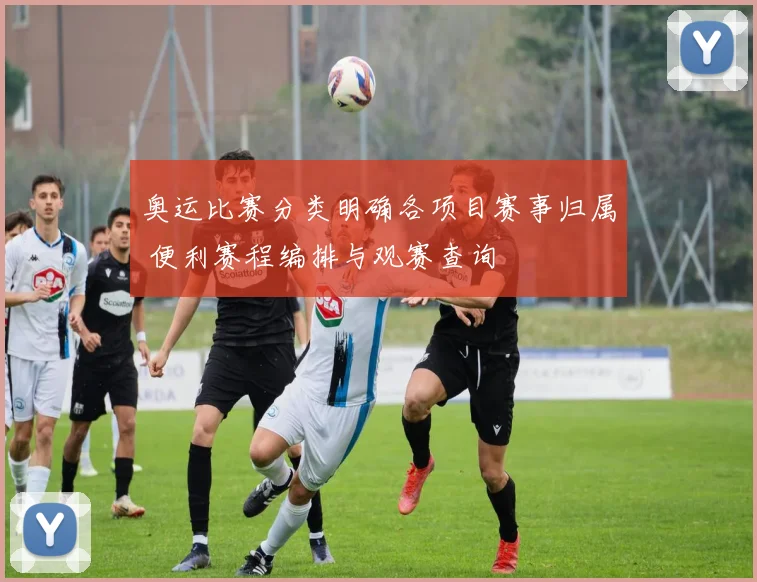奥运比赛分类明确各项目赛事归属 便利赛程编排与观赛查询